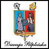 Diecezja Pelpiska